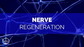 Nerve Regeneration  Repair Nerve Connections  Activate Growth  Binaural Beats  Meditation Music [upl. by Ocsicnarf]