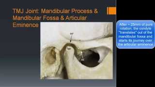 TMJ Basic Anatomy amp Biomechanics [upl. by Akilam]