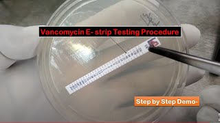 Vancomycin E strip Testing Procedure for VRSA Determination [upl. by Hanzelin]