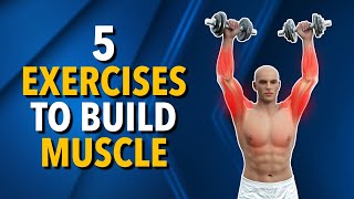 5 Best Exercises to Build Muscle at Home [upl. by Conah]