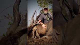 Giant Livingstons Eland hunt untamed hunting bowhunting zimbabwe huntingeland [upl. by Ikcin]