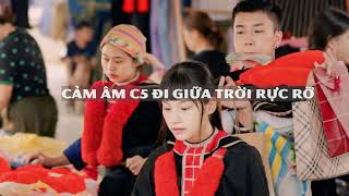 Cảm âm C5 Đi Giữa Trời Rực Rỡ [upl. by Sacha]