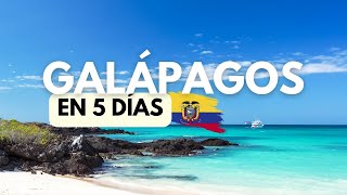 Islas GALÁPAGOS en 5 días atractivos y playas 🐢🇪🇨🐙🐋🦈 [upl. by Anyala]