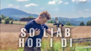 So liab hob i di  Andreas Gabalier Philix Cover [upl. by Peisch703]