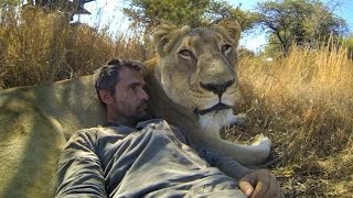 GoPro Lions  The New Endangered Species [upl. by Marolda]