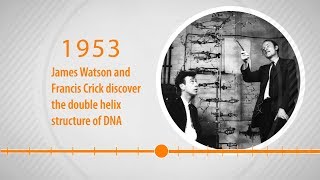 Human Genome Timeline Animation [upl. by Can]