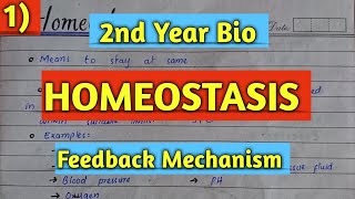 Homeostasis introduction Lec 1 Feedback System 2nd year Biology [upl. by Everest]