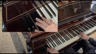 97 key Bösendorfer Imperial Concert tuning  what do the extra bass notes sound like  jump link [upl. by Annadiana]