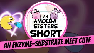 An EnzymeSubstrate Meet Cute  Amoeba Sisters Shorts [upl. by Onailil178]