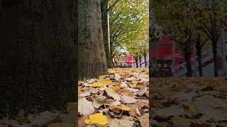 Paris  Parc De La Villette [upl. by Yancy]