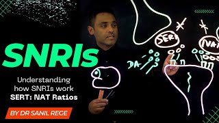 Exploring SNRIs Unique SERT and NAT Ratios  Why They Are Not All the Same [upl. by Akeim]