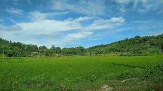 স্বপ্নের শহর মোংলাস্বপ্নপুরিস্বপ্নের দেশ Beautiful village 2024 [upl. by Kalmick995]