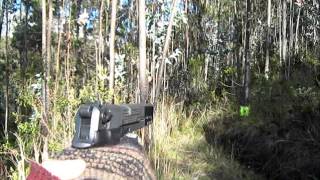 shooting pistol Walter cp88 competition wildlife [upl. by Karisa682]