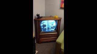 Watch a Philco Predicta quotCornerquot TV [upl. by Denby]