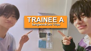 Trainee A Leo and Sangwon clips for edits [upl. by Attenov824]