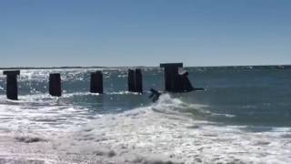 Little Gasparilla Island Gulf Skim [upl. by Carli195]