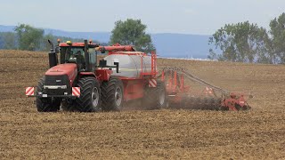 Case IH Steiger 450 HD with Horsch Pronto 8SW at Klostergut Winningen in Germany  Take I [upl. by Lundell]