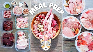 How I Meal Prep Raw Food For My Dog Full Week [upl. by Ahsakat]