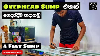 How to make an Over Head Sump Filter  In sinhala  4 feet sump  The Fishyflex FHD Video [upl. by Akenna]