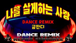 나를 살게하는 사랑 금잔디  remix썬그리 [upl. by Eelegna]