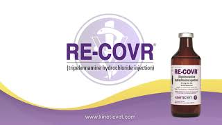 RECOVR® Tripelennamine Hydrochloride Injection [upl. by Medorra]