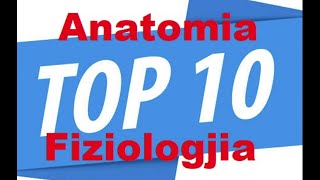 Anatomia amp Fiziologjia 10TOP Pyetjet ne  QUIZ [upl. by Assetal]