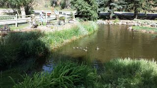 Cottonwood RV Park in Idaho Springs Colorado [upl. by Airol124]