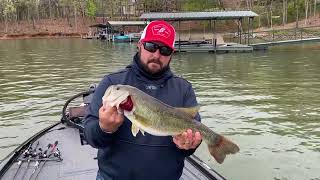 Hartwell Bass With Justin Kimmel [upl. by Yorgos]