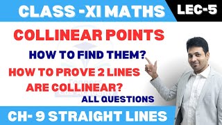 Collinear Points  Straight Lines  Class 11 Maths  With Important Questions  Ranveer Sir  TCA [upl. by Emad219]