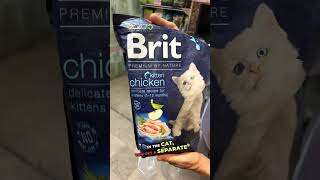 Brit Cat Food Review  GrainFree Medicated Cat Food from the Czech Republic [upl. by Roehm]