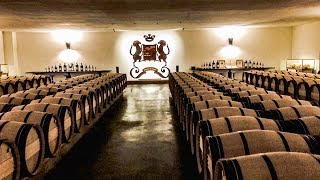 Inside Château Mouton Rosthchild  Bordeaux Winery Tour  Pauillac 2018 [upl. by Clerc630]