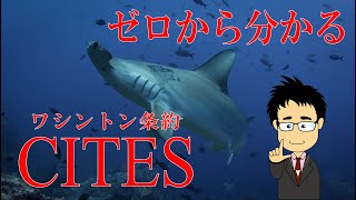 ワシントン条約（CITES）について初心者でも分かるように解説してみた【絶滅危惧種】【保全】 [upl. by Merl]