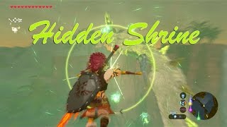 Zelda BotW  Hidden Shrine  quotFaroshquot Electric Dragon Guide [upl. by Nirehtak]