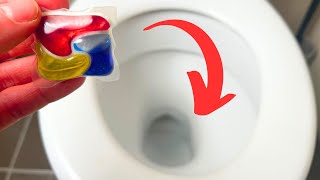 Throw a FANCY Dishwasher Tablet in Your Toilet and Watch What Happens [upl. by Emmit737]