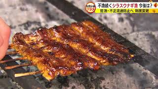 ウナギ蒲焼きの値段があがる？ 1kg250万円の高値で取り引きされる稚魚の漁めぐり新ルール [upl. by Berkly635]