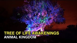 4K Tree of Life Awakenings  Nighttime Animal Light Show  Animal Kingdom Orlando FL [upl. by Glen]