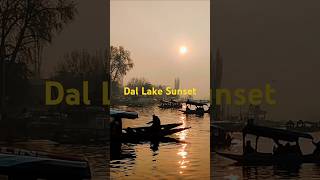 Shikara Ride on Dal Lake at Sunset 🌅  Kashmir Diariesshorts dallake kashmir [upl. by Inah]