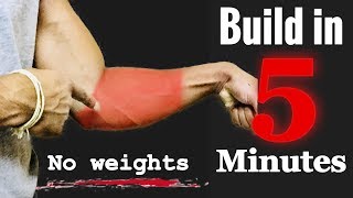 5 minutes intense forearm home workout  without weights  dedicos fitness [upl. by Ikcim]