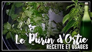 🌿PERMACULTURE  ORTIE volet 2  quotPurin dortiequot [upl. by Puttergill47]