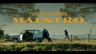 TIGRI DA SOGGIORNO  MAESTRO OFFICIAL VIDEO [upl. by Flavius]