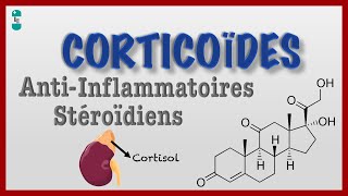 Questce quun Corticoïde  Antiinflamatoires Stéroidïens [upl. by Ahsenak]