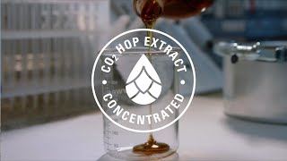 CO2 Hop Extract  Yakima Chief Hops [upl. by Dalpe]