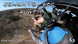 Helicopter HOG HUNT  800 Hogs 22 Coyotes In 4 Days  Texas Highlights [upl. by Heyes]