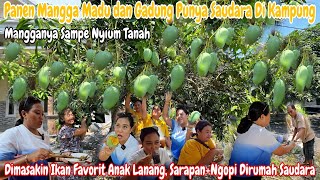 NEKAT‼️PERDANA PANEN MANGGA GADUNG amp MADU BUAHNYA LEBAT TH INI  PERTAMA X MBA UMI PULANG KAMPUNG [upl. by Oralle972]