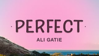 Ali Gatie  Perfect Lyrics [upl. by Nauhs]