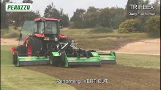 TRIFLEX Gang Flail Mower Verticut [upl. by Uzzial464]