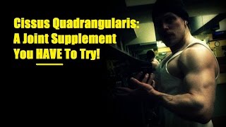 Cissus Quadrangularis A Joint Supplement You HAVE To Try  Cory McCarthy [upl. by Yve957]