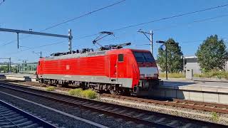 Treinen op station Geldermalsen 11082024 [upl. by Arun]