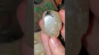 Raw Gemmy Phenakite Phenacite Crystal [upl. by Jammin710]