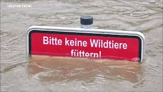 Hochwasser Rheine 25122023 [upl. by Saville]